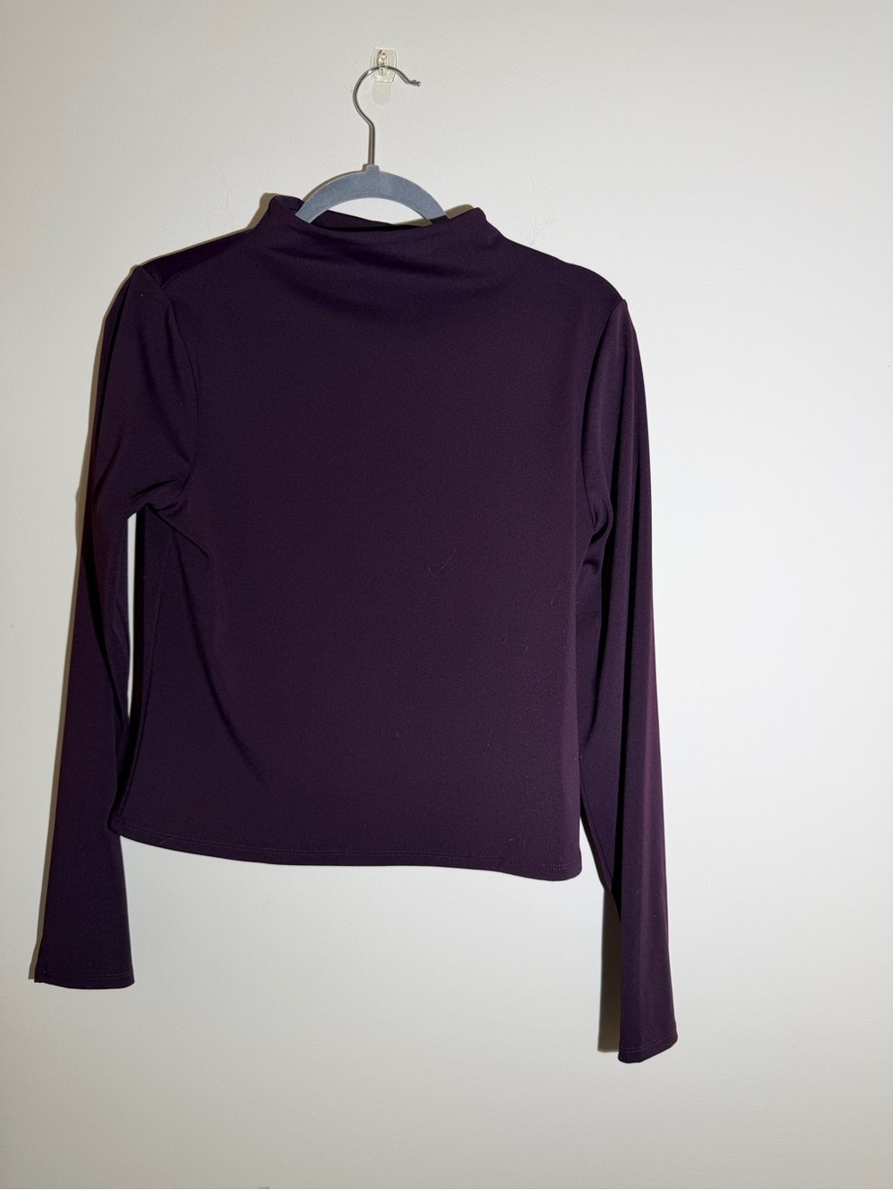 Express Women’s Long Sleeve Mock Neck Top in Plum